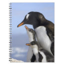 Buscar antártico cuadernos Colonia