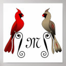 Buscar pico rojo posters Pájaros