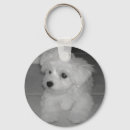 Buscar perro caniche llaveros Lindo