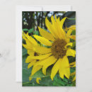 Buscar jardinería invitaciones Verano