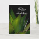 Buscar plantas suculentas tarjetas Naturaleza
