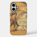 Buscar relaciones iphone fundas General y unisex