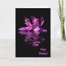 Buscar closet tarjetas Macro