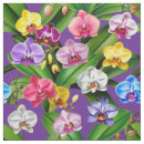 Buscar orquídea telas Flores