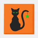 Buscar gatos lindos imanes Naranja