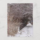 Buscar huellas postales Nieve