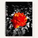 Buscar esp libretas General y unisex