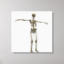 Buscar cráneo y huesos lienzos Biología