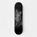 Buscar gatitos lindos tablas de skate Felino
