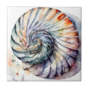 Buscar nautilus azulejos Océano