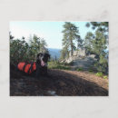 Buscar colmillos postales Perro