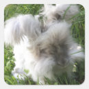 Buscar rabbit pegatinas Adorable