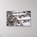 Buscar trenes lienzos Para él