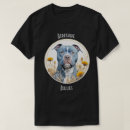 Buscar bullie Perro