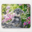 Buscar schnauzer alfombrillas de raton Flores