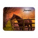 Buscar castañas imanes General y unisex