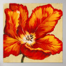 Buscar tulips posters Botanical