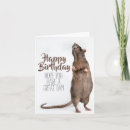 Buscar cumpleaños la rata postales Marrón