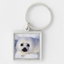 Buscar loros llaveros Adorable