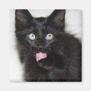 Buscar sorprendido imanes General y unisex