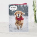 Buscar golden retriever feliz tarjetas General y unisex