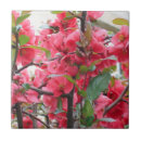 Buscar japonés azulejos Flores