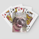 Buscar bicho barajas de cartas Lindo