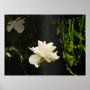 Buscar iluminado arte Hojas