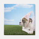 Buscar princesa imanes Perro
