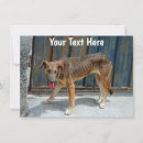 Buscar perdedor tarjetas Perro