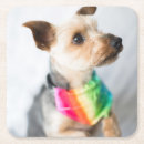 Buscar gay posavasos Arcoiris