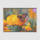 Buscar mariposa monarca papel de seda Floral
