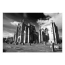 Buscar bruce posters Robert the bruce