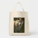 Buscar hombres lobos bolsos Niños