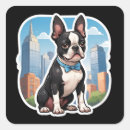Buscar boston terrier pegatinas Amante
