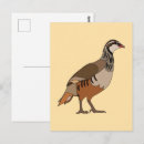 Buscar peral postales Animal