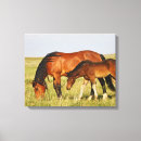 Buscar caballos salvajes lienzos Rancho