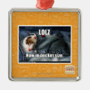 Buscar de bolsillo adornos Puedo tengo cheezburger