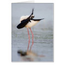 Buscar zancos postales Ave costera