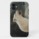 Buscar lobo iphone fundas Vida silvestre