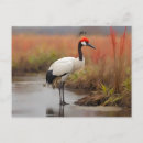 Buscar planta de aire postales Para todos