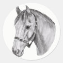 Buscar cabeza de caballo pegatinas Equino