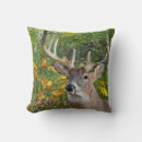 Buscar cuernos cojines Otoño