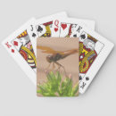 Buscar bicho barajas de cartas Insecto