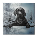 Buscar labrador azulejos Cachorro