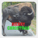 Buscar bisonte pegatinas Divertido