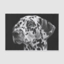 Buscar perros papel de seda Negro y blanco