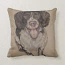 Buscar perros de aguas cojines Cocker spaniel