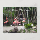 Buscar flamenco de navidad postales Florida