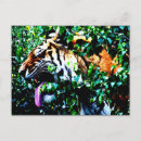 Buscar tigre de amur postales Inmoralidad